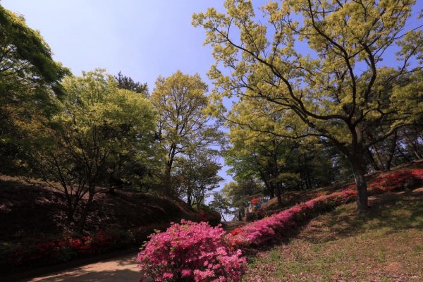 摄理月明洞_自然圣殿_文化馆步道的春天风景（1）