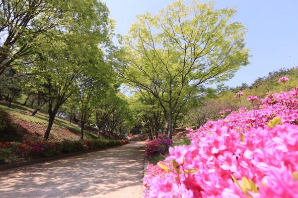 摄理月明洞_自然圣殿_文化馆步道的春天风景（3）
