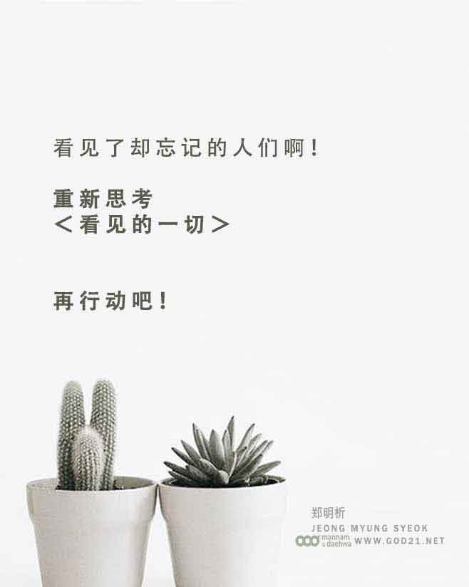 花系列，植物系列，学习话语，启示，万物