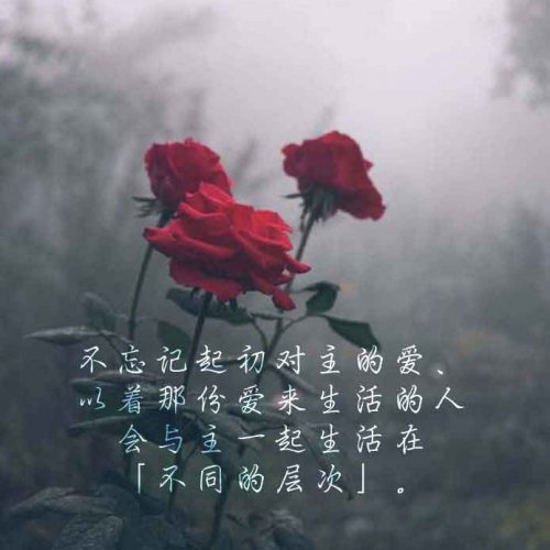 你忘记了什么吗？忘记了吗？