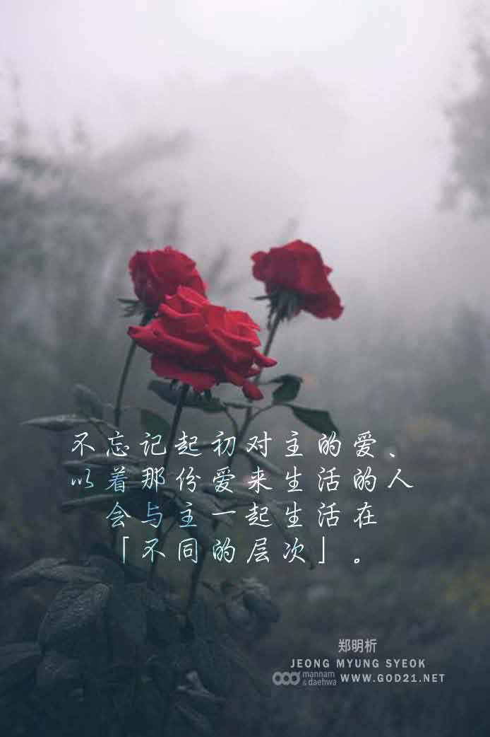 忘记的人，不要忘记爱，玫瑰，清晨，祷告