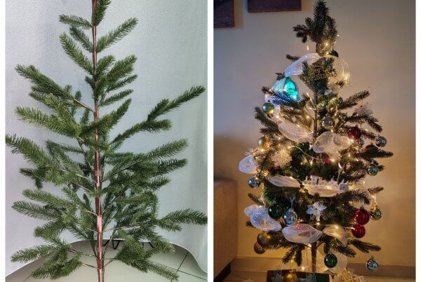 摄理教会 Merry Christmas 圣诞快乐