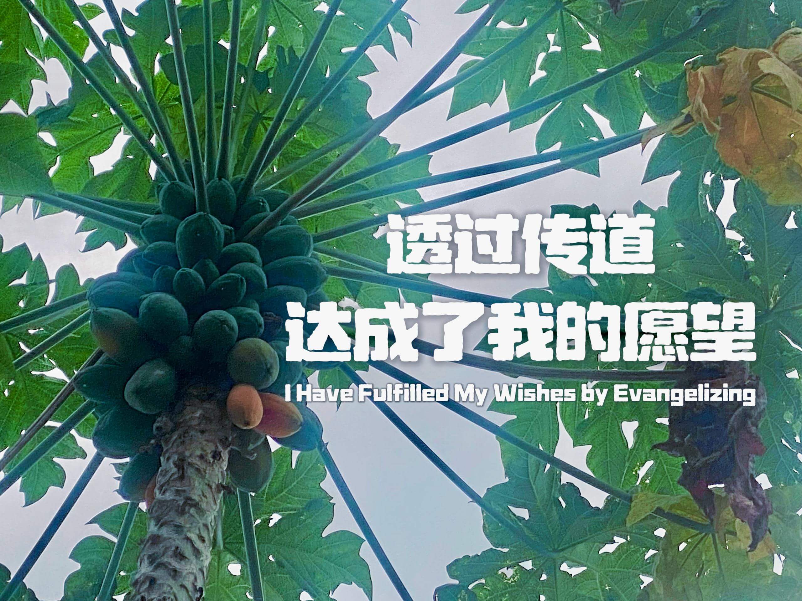 摄理主日话语_郑明析牧师_透过传道达成了我的愿望