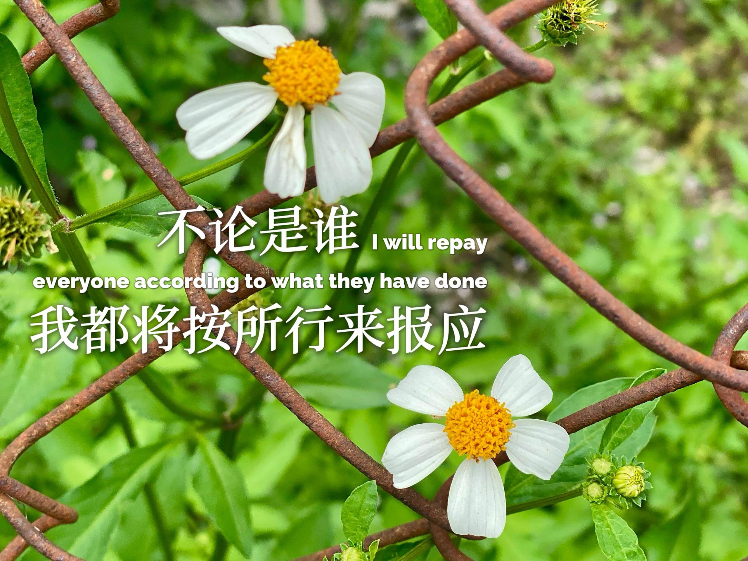 摄理主日话语_郑明析牧师_不论是谁_我都将按所行来报应