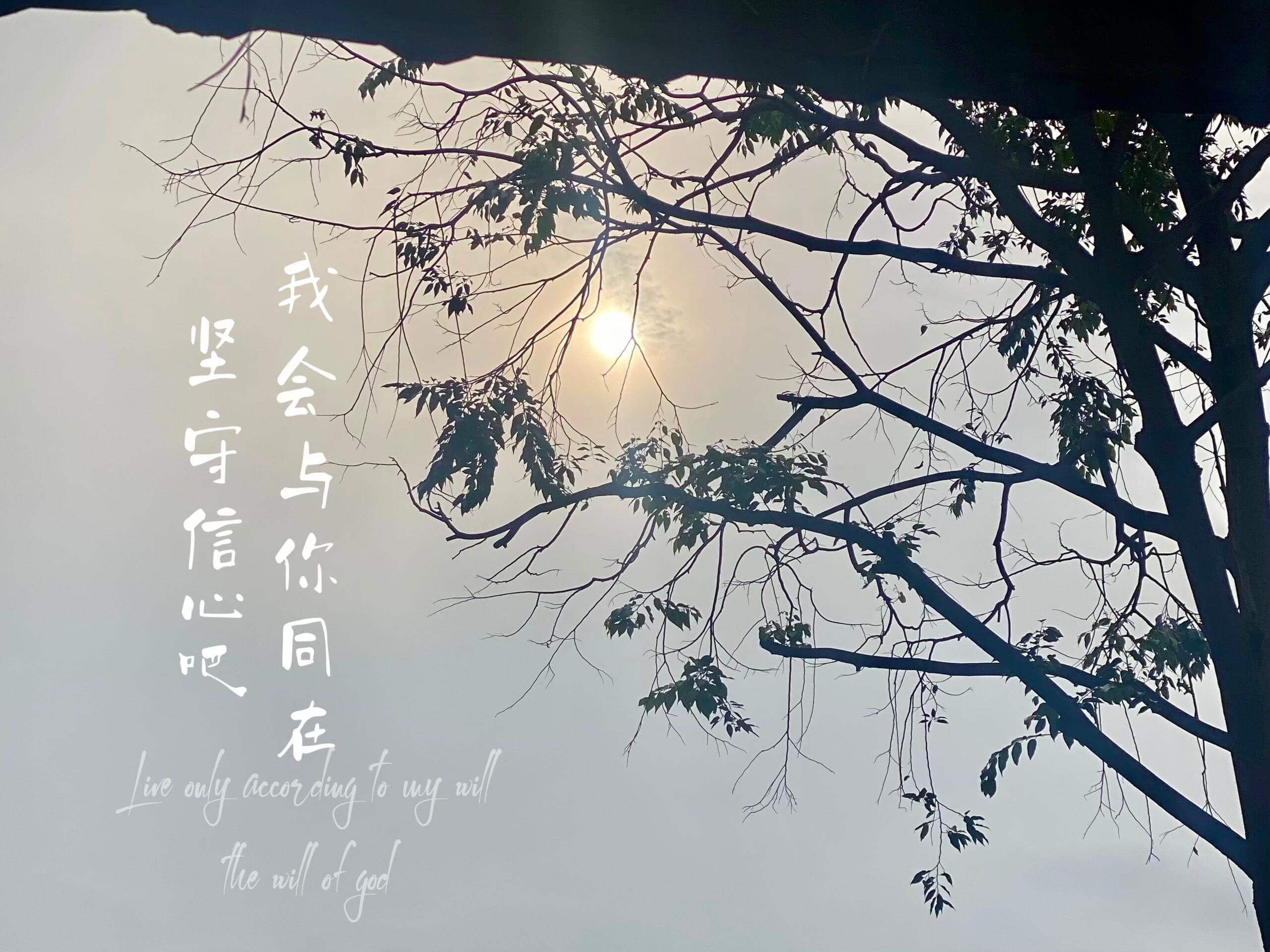 摄理主日话语_郑明析牧师_我会与你同在_坚守信心吧
