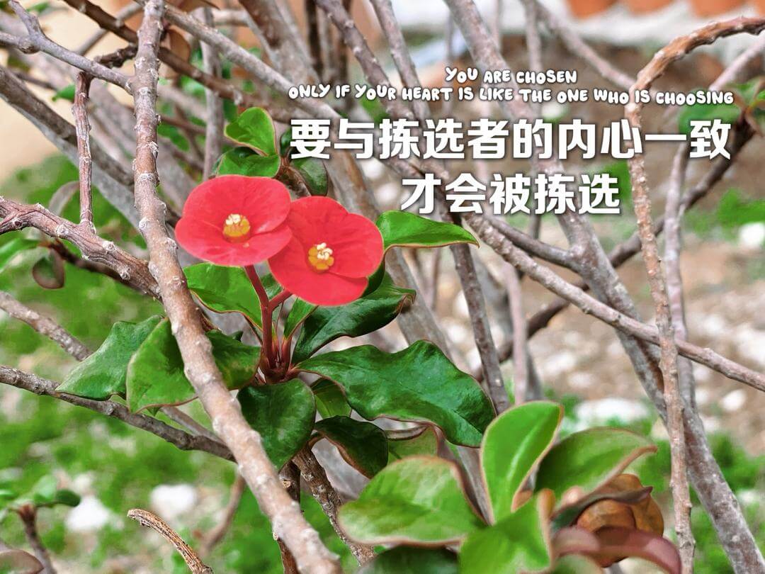 摄理主日话语_郑明析牧师_要与拣选者的内心一致_才会被拣选