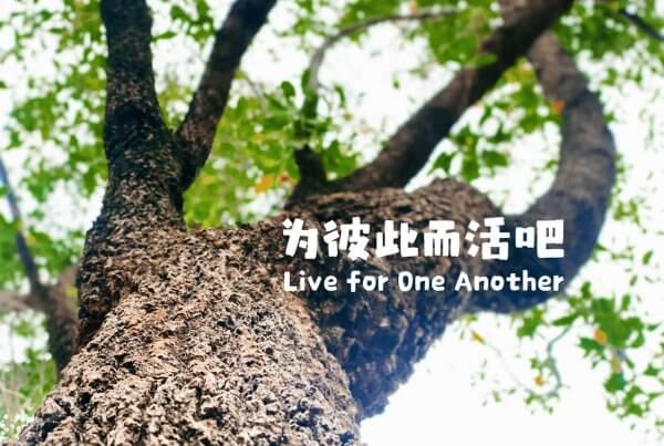摄理主日话语_郑明析牧师_为彼此而活吧