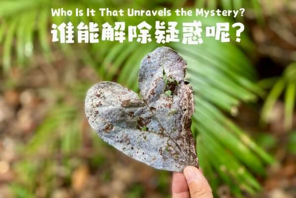 摄理主日话语_郑明析牧师_谁能解除疑惑呢