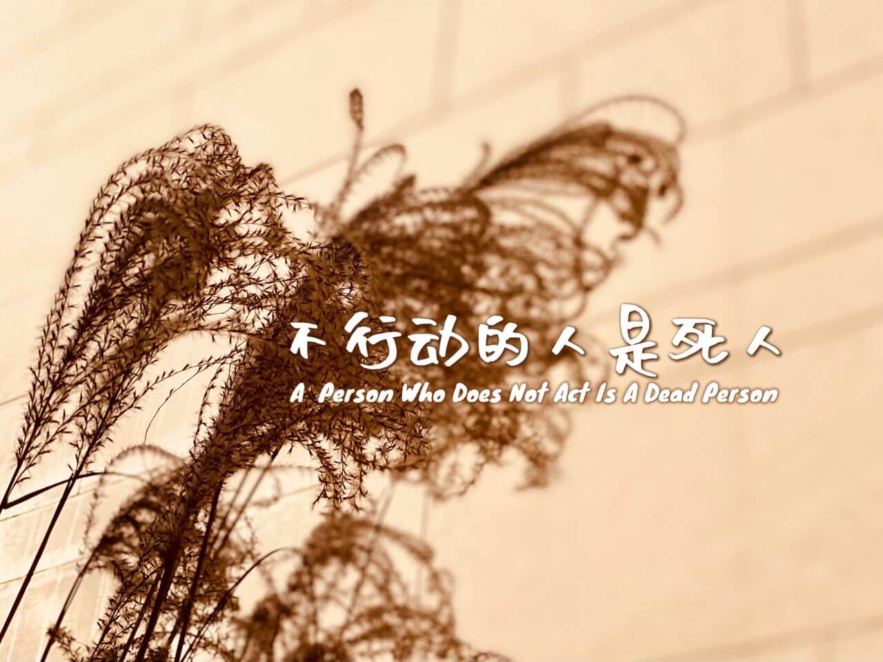 摄理主日话语_郑明析牧师_不行动的人是死人