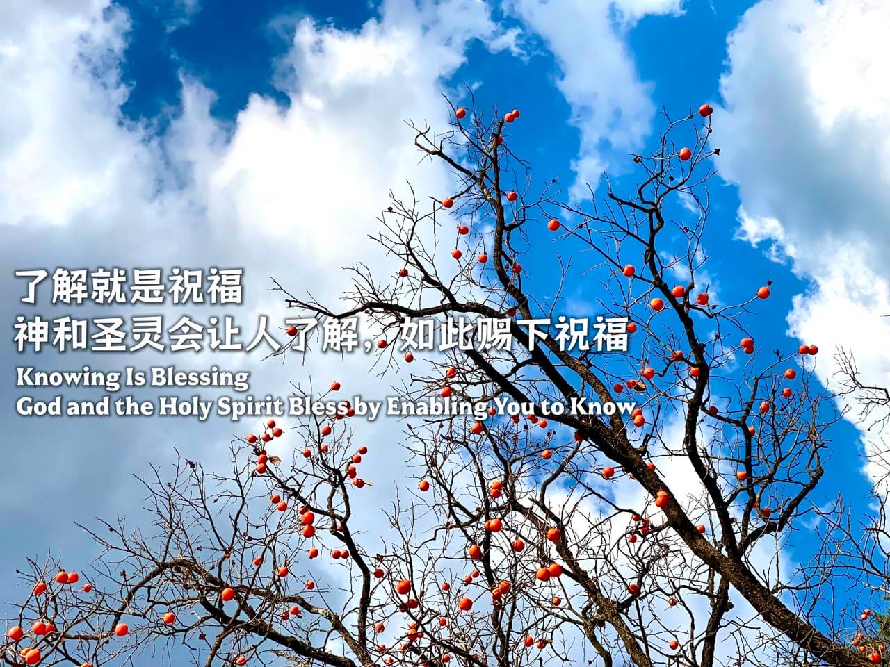摄理主日话语_郑明析牧师_了解就是祝福_神和圣灵会让人了解_如此赐下祝福
